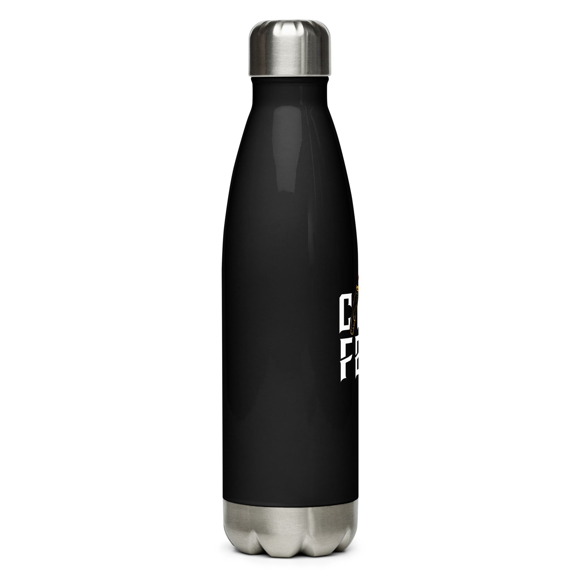 Stainless steel water bottle